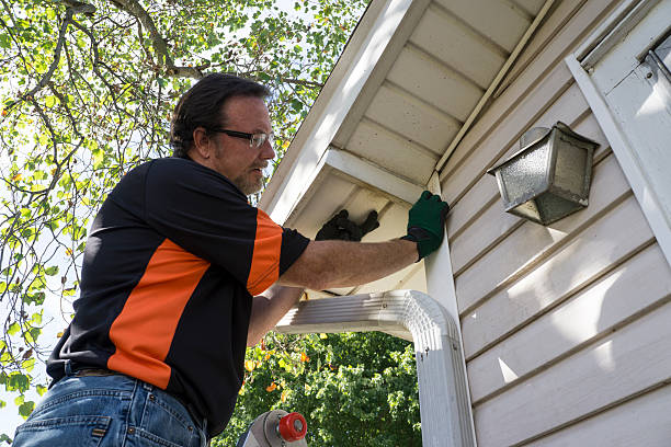 Best Carpet Removal and Disposal  in Edneyville, NC